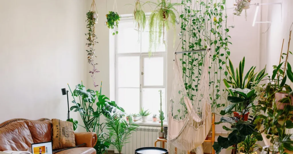 Plants Apartment Décor ideas at home
